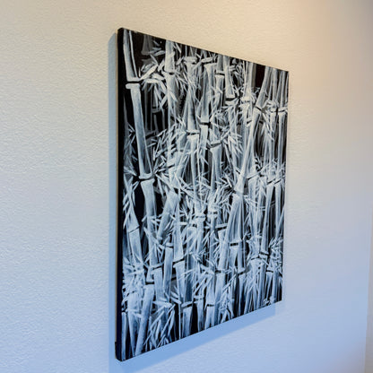 "Black and White Bamboo Forest” 20in x 24in Acrylic on Canvas
