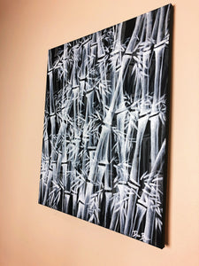 "Black and White Bamboo Forest” 20in x 24in Acrylic on Canvas