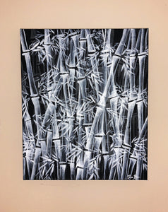 "Black and White Bamboo Forest” 20in x 24in Acrylic on Canvas