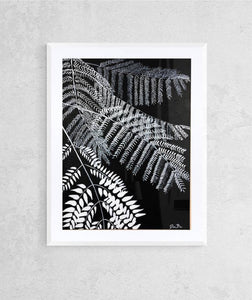 "Black Fern Tree" Print